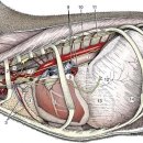 대구24시라이프동물의료센터 이미지