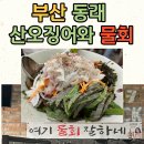 동래막썰어횟집과산오징어해물탕 이미지