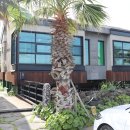 헬로 1204 이미지