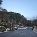 강원도 국립 대관령 자연휴양림 연립동 따오기 숙박후기