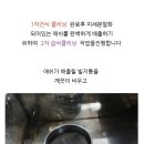수원카닥터 이미지