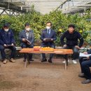 유희태농장 이미지