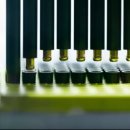 바이오엔 | 바이오엔테크 - 주가 급등, 암과의 싸움의 이정표