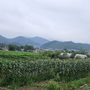 노곡리농장 이미지