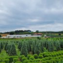 선형농장 이미지