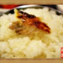 털보고된이 이미지