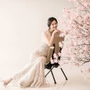 더원메디컬 이미지