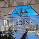 충렬로 | 양산 분위기 좋은 신상 대형카페 보르너 방문후기