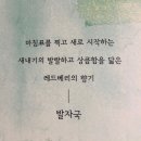 캔들;온해 | 기분 좋은 달달한 디퓨저추천 코코도르 포메그래니트