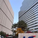 신용산수약국 | 신용산역 맛집 까미노 델 칸투스 분위기 좋은 용산맛집