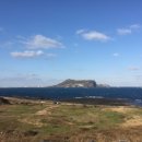 청호식당 이미지