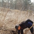 남촌주유소 이미지