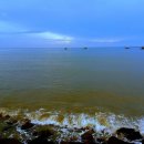 밀물농장 이미지