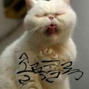 불당동물병원 이미지