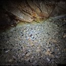 미수해양공원 공중화장실 | 주전권 갯바위 볼락 낚시 던질찌 포인트 탐사 중 (울산 동구 주전보밑 연안 해양체험공원 앞)