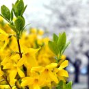 다온메디 이미지