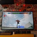 쇼미더코인 동전 노래연습장 네이버블로그