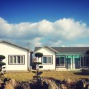 한동향기 이미지