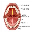 아름드리치과 이미지