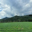 회동목장 이미지