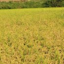 (주)명상 이미지