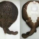 서인전기 네이버블로그