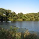 반곡2리 이미지