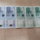 금빛세탁 이미지