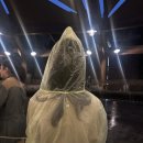 물만난고기초앤정 | 상해여행 Day 3