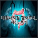 대장 | 대장내시경 검사주기, 시간, 후기