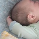 웨이브엠웨스트 씨앤비파티풀 | [70일 아기 첫 호캉스 후기👶🏻] 거북섬 웨이브엠 호텔 웨스트 1박2일 후기 I 내돈내산 I 안산 근교...