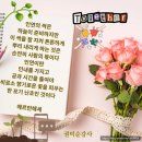 스마트폰으로 여는 새로운 세상 | 달성문화원 스마트폰 활용·AI 교육, 어느새 5회기! 함께라서 더 행복합니다