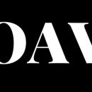 오아브(oav)