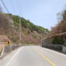 유희원 효자문 Daum카페