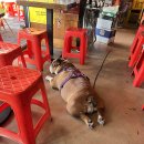 우리슈퍼 이미지