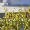 농업테마파크 공원 이미지