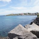 금백조로가든 이미지