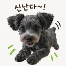양평 용문천년시장 5일장 후기, 용문역 먹거리 가득한 전통시장