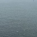 경정2리 | 걸어서 영덕속으로~ 2박 3일 44km 도보여행기 (3)