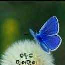 감동스토리