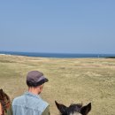 행운목장 이미지