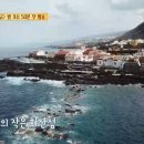 윤식당 티스토리