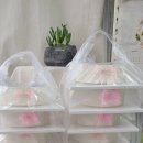 월곶초병설유치원 이미지