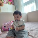 (주)서우투어