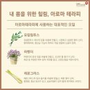 내 몸을 위한 아로마테라피 이미지