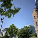 조지앙 로르 스파 | 한남두피관리 명소, 조지앙 로르 플래그십 스파에서 경험한 캄 앤 니트 케어 후기