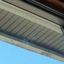 삼정중학교 이미지