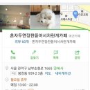 혼자두면 장판뜯어서 차린 개카페 이미지