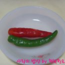 홍구리 이미지