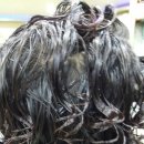 헤어랜드 이미지